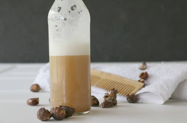 Sprede sej tryk All Natural Soap Nuts Shampoo - Prepare + Nourish